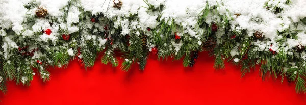 Christmas dalları karla kaplı — Stok fotoğraf