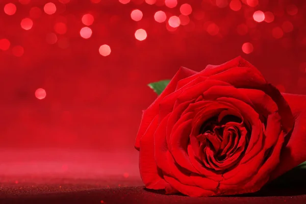 Schöne rote Rose auf glitzerndem roten Hintergrund — Stockfoto