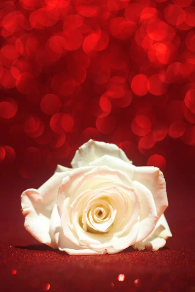 Schöne weiße Rose auf glitzerndem roten Hintergrund — Stockfoto