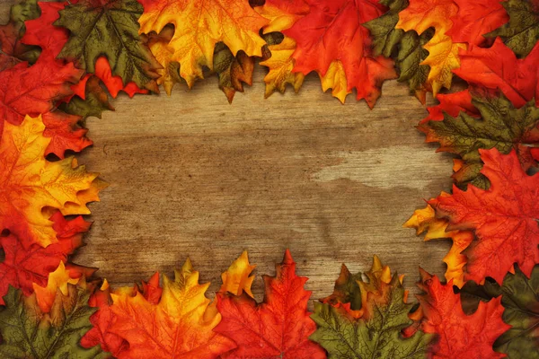 Autumn leaves background — Stock Photo, Image