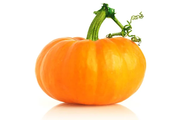 Calabaza fresca aislada en blanco —  Fotos de Stock