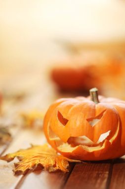 Halloween jack o'Fener arka plan