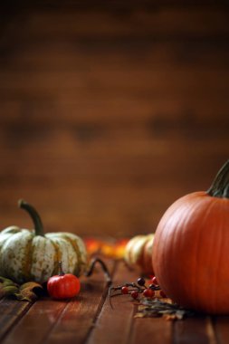 Sonbahar balkabağı arkaplanı