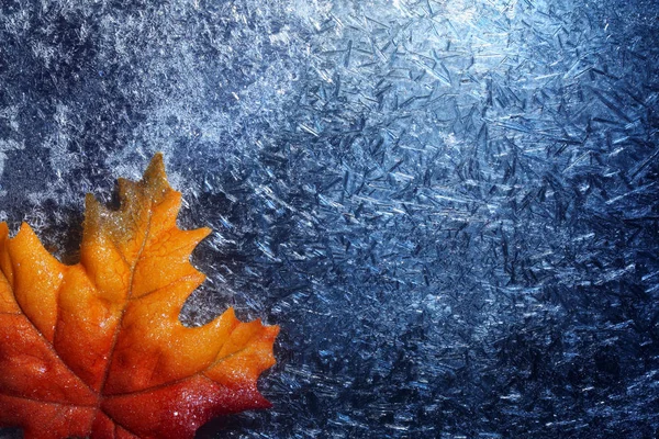 Herbst Blatt in blauem Frost Hintergrund — Stockfoto