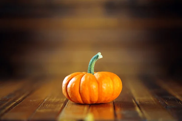 Zucca arancione su sfondo di legno scuro — Foto Stock