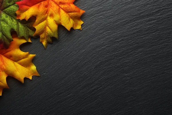 Karanlık arduvaz arka plan üzerinde sonbahar yaprakları — Stok fotoğraf