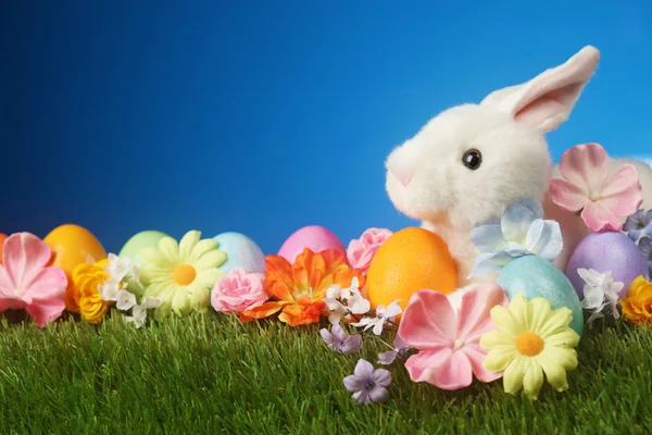 Fond de Pâques festif avec lapin, fleurs et oeuf coloré — Photo
