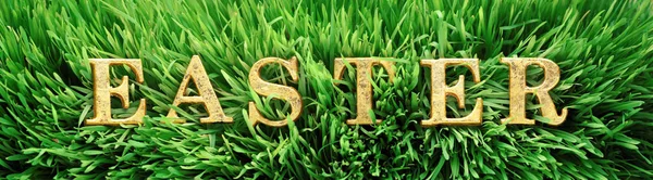 Frisk grønt græs med ordet påske i lyse guldbogstaver - Stock-foto
