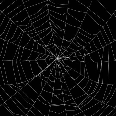 Siyah üzerine büyük beyaz örümcek ağı - 3D görüntüleme