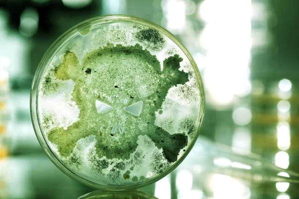 Petri dish growing bacteria in the shape of a skull and crossbon