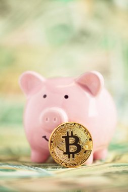 Pembe domuz kumbarasına dayanan para yığınları üzerinde altın bitcoin. Biz...
