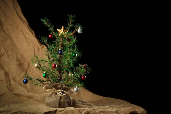Kis rusztikus karácsonyfa vászon üres fekete hely — Stock Fotó