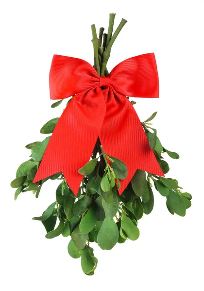 Sprig of fresh green mistletoe tied with bright red Christmas bo — Stock Photo, Image