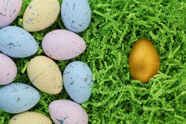 Collection Colorful Easter Eggs Single Golden Egg — Stock Photo, Image