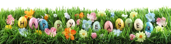 Bright Colorful Easter Eggs Saying Happy Easter Green Grass Flowers — Stock Photo, Image