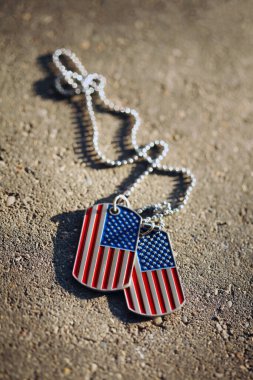 Amerikan bayrağının künyesi