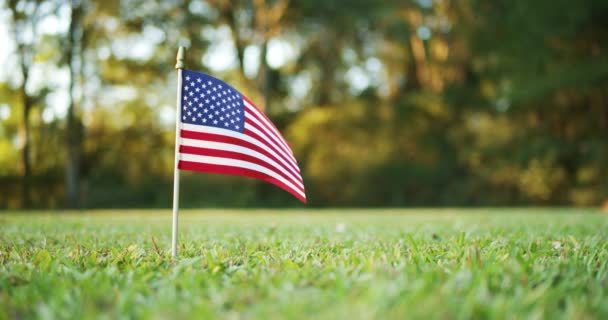 Petit Drapeau Américain Américain Américain Agitant Vent Dehors Dans Herbe — Video