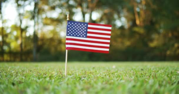 Una Pequeña Bandera Americana Estadounidense Estadounidense Ondeando Viento Afuera Hierba — Vídeos de Stock