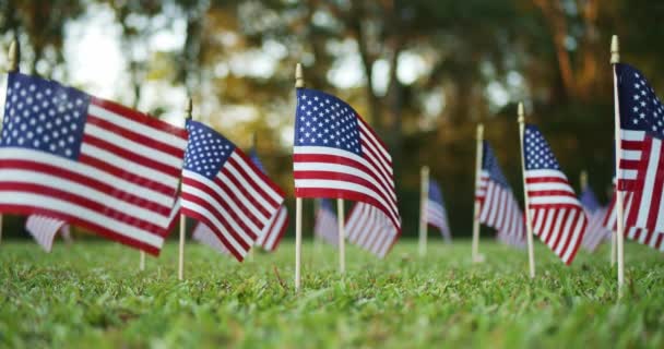 Plusieurs Petits Drapeaux Américains Américains Américains Agitant Dans Vent Extérieur — Video