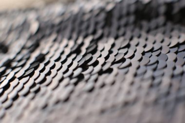 Parlak doku arka plan yanardöner çok renkli pullar makro fotoğraf