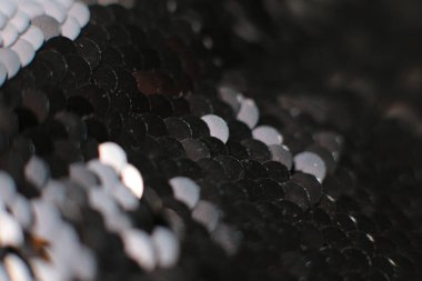 Parlak doku arka plan yanardöner çok renkli pullar makro fotoğraf