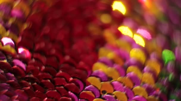 Glänzende Textur Hintergrund Irisierend Mehrfarbige Pailletten — Stockvideo