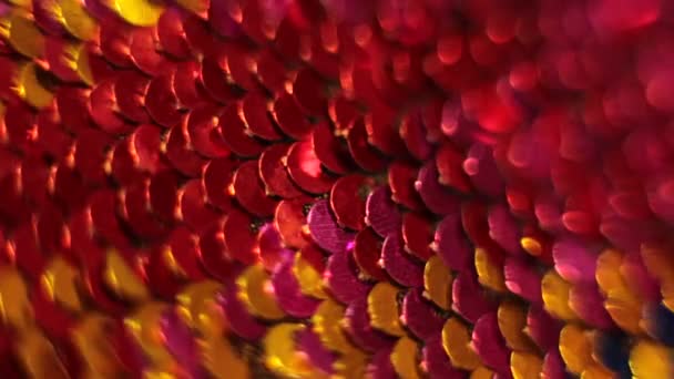 Блестящие Блёстки Многоцветных Блёсток Фоне Блестящей Текстуры — стоковое видео