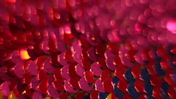 Texture brillante fond paillettes multicolores irisées 