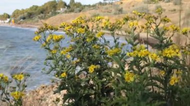Şafağın güzelliği ve gün batımının romantizmi, rahatlama ve meditasyon videosu.