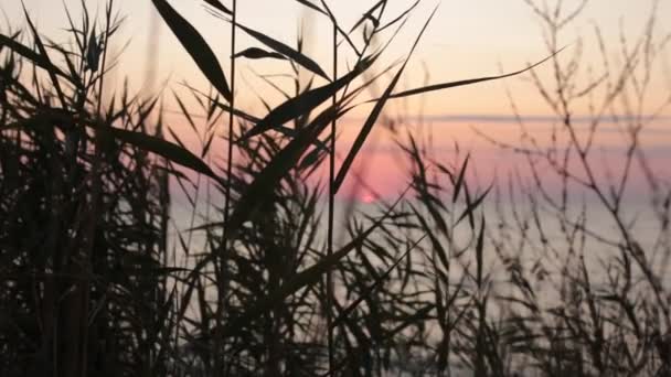 Ομορφιά Της Αυγής Και Ειδύλλιο Του Ηλιοβασιλέματος Βίντεο Για Χαλάρωση — Αρχείο Βίντεο