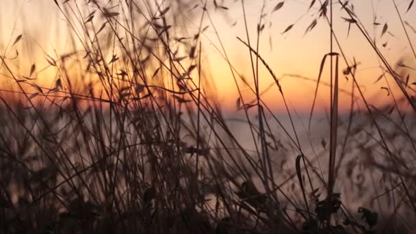 Die Schönheit Der Morgendämmerung Und Die Romantik Des Sonnenuntergangs Video — Stockvideo