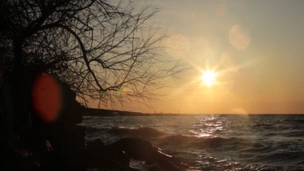 Bellezza Dell Alba Romanticismo Del Tramonto Video Relax Meditazione — Video Stock