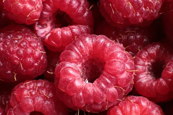Ripe Juicy Berry Raspberries Macro Photo — Stock Photo, Image