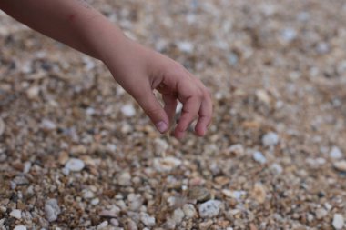 Kumsalda çakıl taşlarıyla el ele tutuşup oynuyoruz.