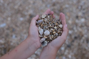 Kumsalda çakıl taşlarıyla el ele tutuşup oynuyoruz.