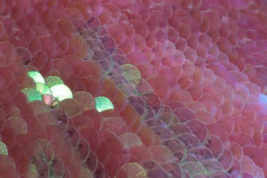 Işıl ışıl parlak pullar ve küçük ölçekli parlak makro manzaralı ışıl ışıl tatil arka planı