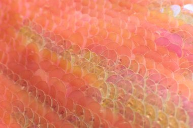 Işıl ışıl parlak pullar ve küçük ölçekli parlak makro manzaralı ışıl ışıl tatil arka planı