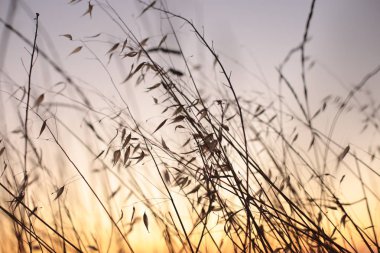 Arka plan suyu ve gün batımı romantik ruh hali