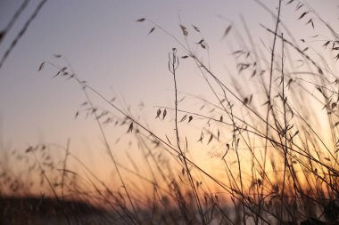 Arka plan suyu ve gün batımı romantik ruh hali
