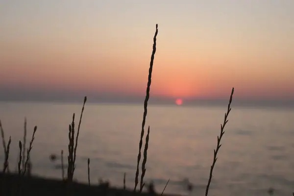 Natur Hintergrund Wasser Und Sonnenuntergang Dämmerung Romantische Stimmung — Stockfoto