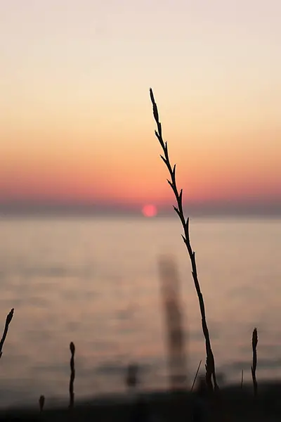 Nature Background Water Sunset Dawn Romantic Mood — Stock Photo, Image