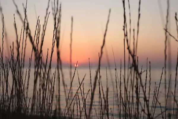 Natureza Fundo Água Pôr Sol Amanhecer Romântico Humor — Fotografia de Stock