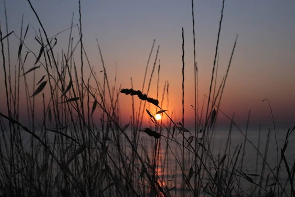 Natureza Fundo Água Pôr Sol Amanhecer Romântico Humor — Fotografia de Stock