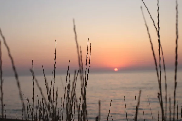 海による日の出 海の生物の動植物 背景の水と日没のロマンチックな気分 — ストック写真