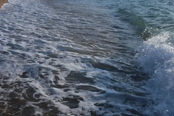 海洋的日出 海洋的动植物 背景水和日落的浪漫心情 — 图库照片