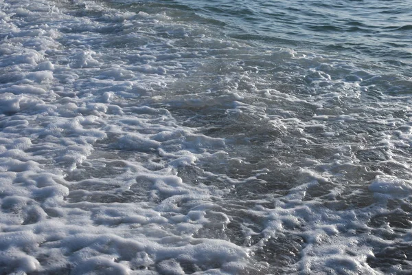 Salida Del Sol Por Mar Flora Fauna Vida Oceánica Agua — Foto de Stock