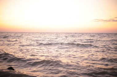 Deniz kenarındaki doğal şafak, okyanus canlılarının bitki örtüsü, su ve günbatımının romantik havası.