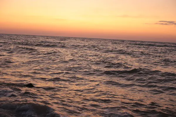 Naturalny Świt Nad Morzem Flora Fauna Oceanu Życie Woda Zachód — Zdjęcie stockowe