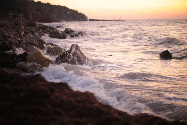 海洋的自然黎明 动植物的海洋生命 水和日落的浪漫心情 — 图库照片