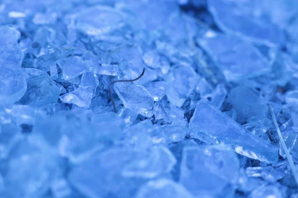 Pequenos Fragmentos Vidro Afiado Foto Macro Pedaços Gelo — Fotografia de Stock